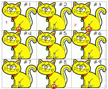the cat at #8 is lighter than 1 and 3, which makes 1 and 3 completely identical