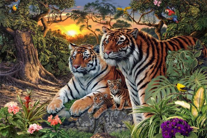 How Many Tigers can you see in this image ?