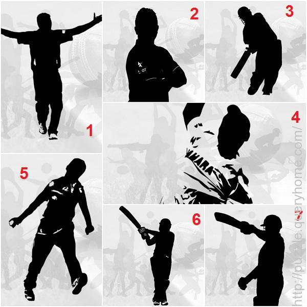 Cricket player puzzles